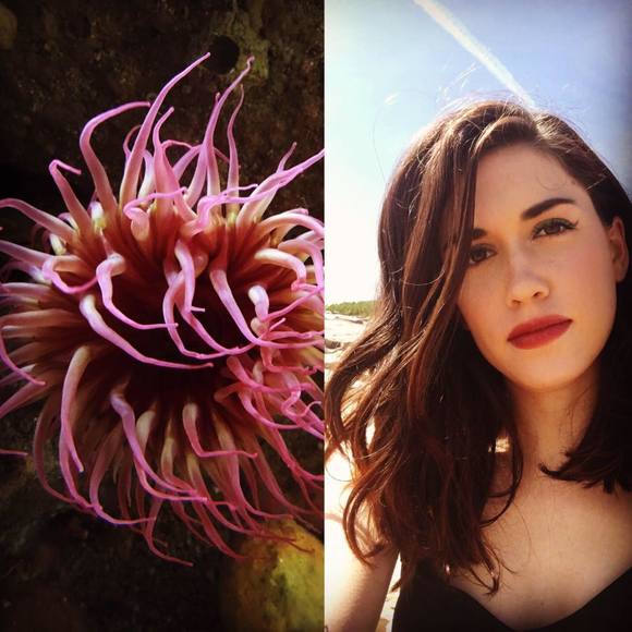 kristenlewhite